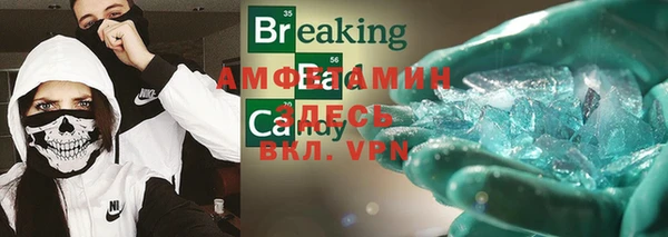 эйфоретик Вяземский