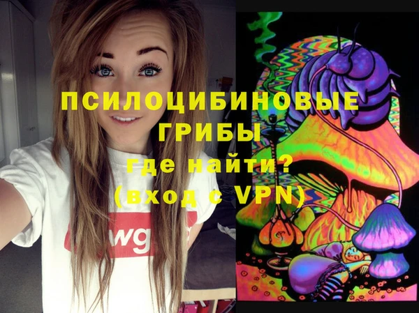эйфоретик Вяземский