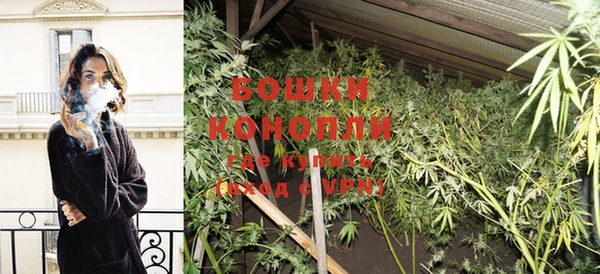 ГАЛЛЮЦИНОГЕННЫЕ ГРИБЫ Гусев