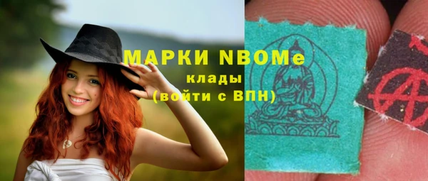 гидра Гусь-Хрустальный