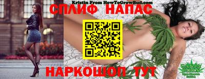 сатива Гусиноозёрск