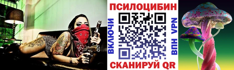 Псилоцибиновые грибы мицелий Воскресенск